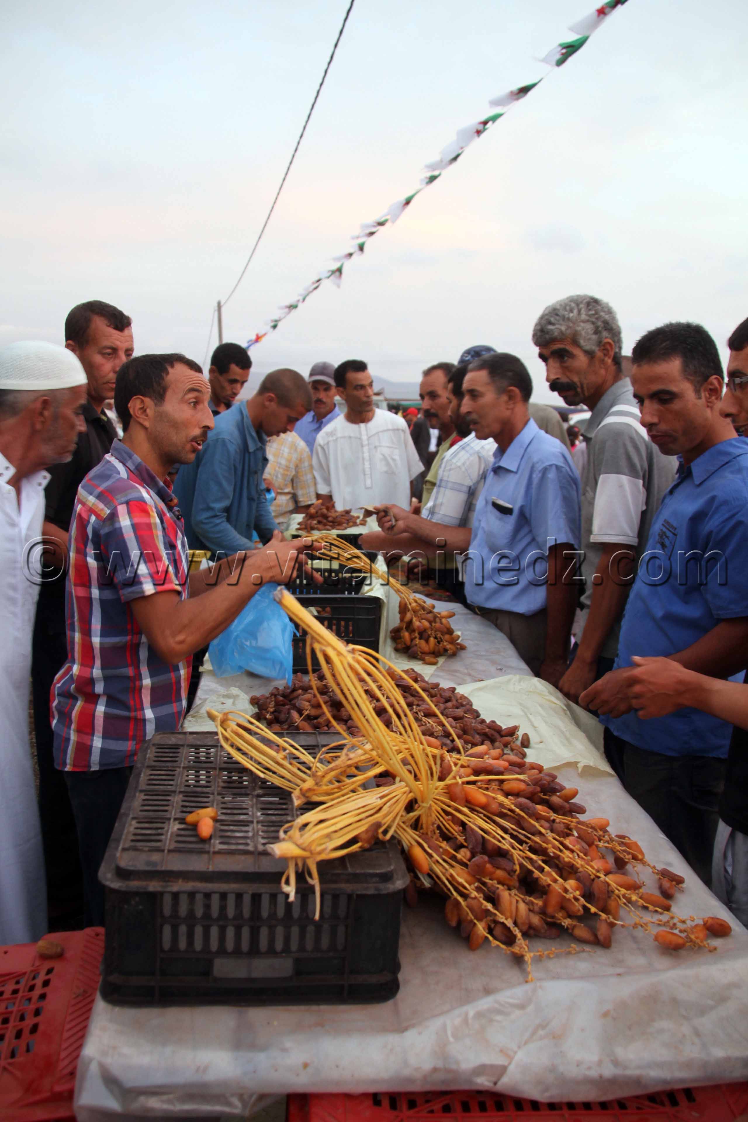 Vente de dattes - Waada d'El M'dedha à Sidi Weriache, Wilaya de Ain Temouchent