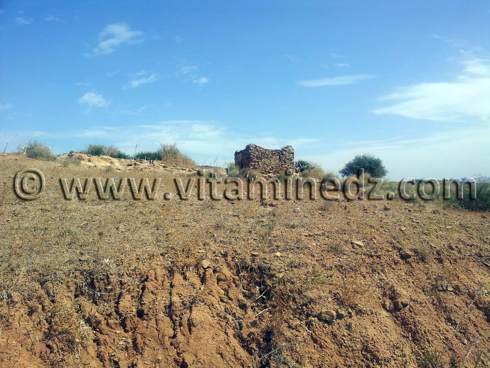 Marabout à coté  d'El M'dedha à Sidi Weriache, Wilaya de Ain Temouchent