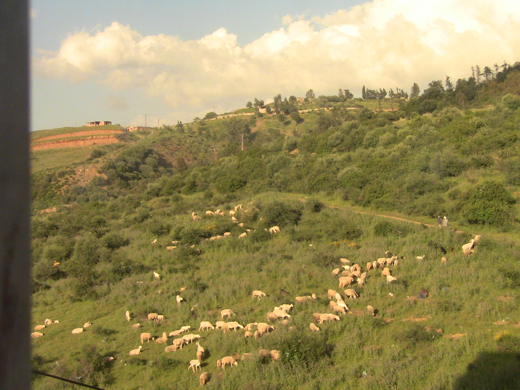 Événement l'Aid AlAdha