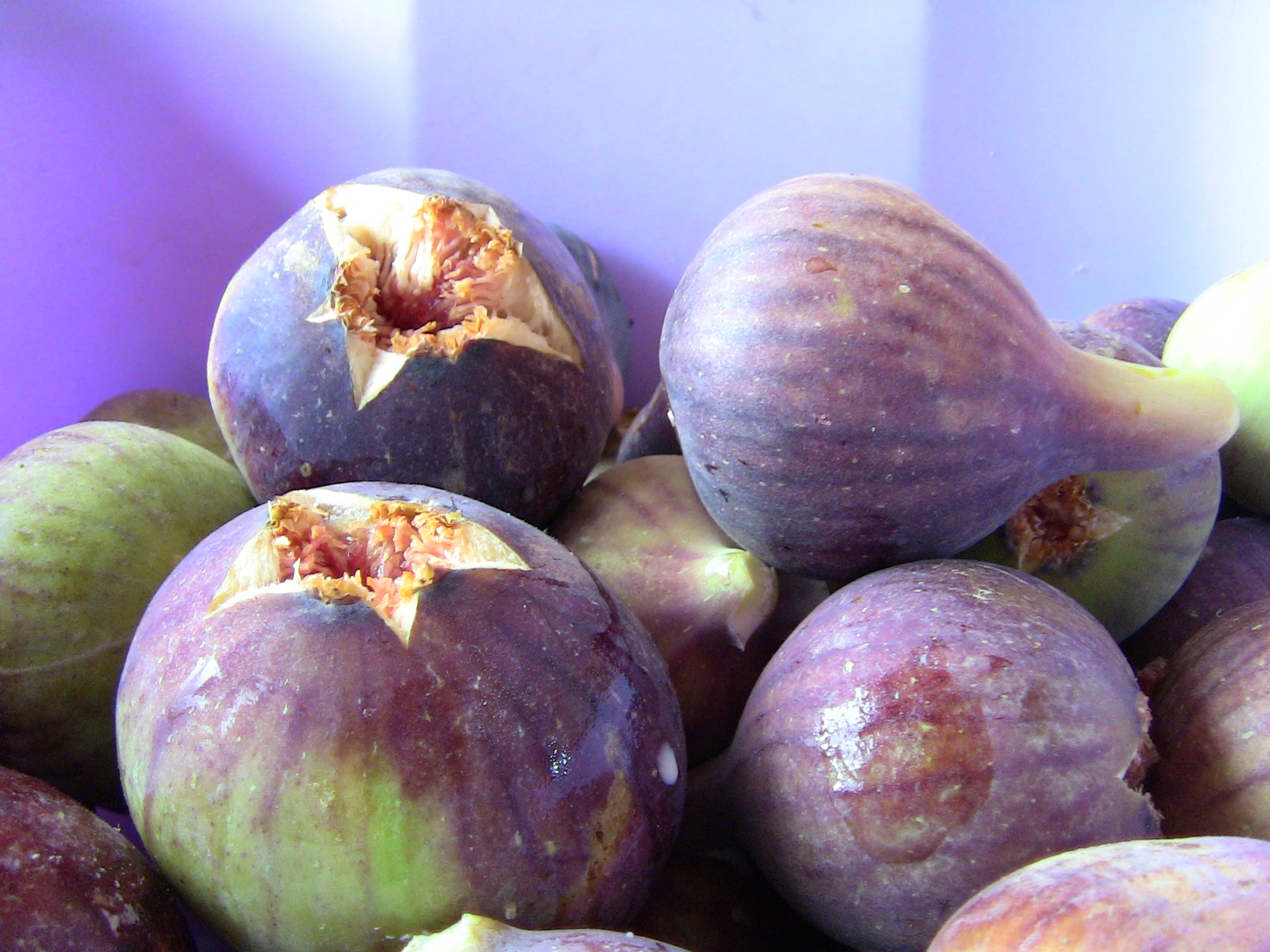 Les figues Fraîche.