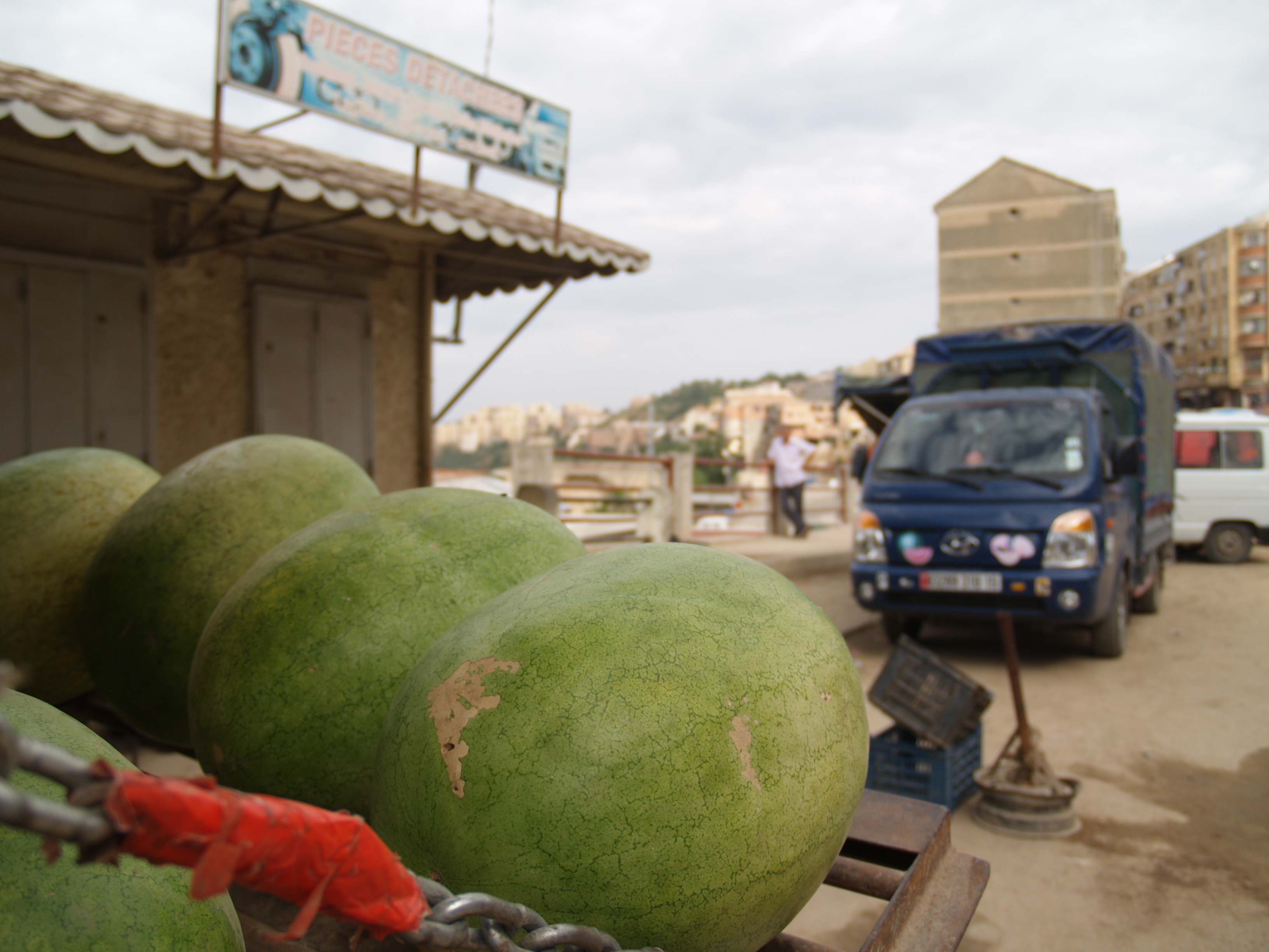 la pastèque un dessert d'été