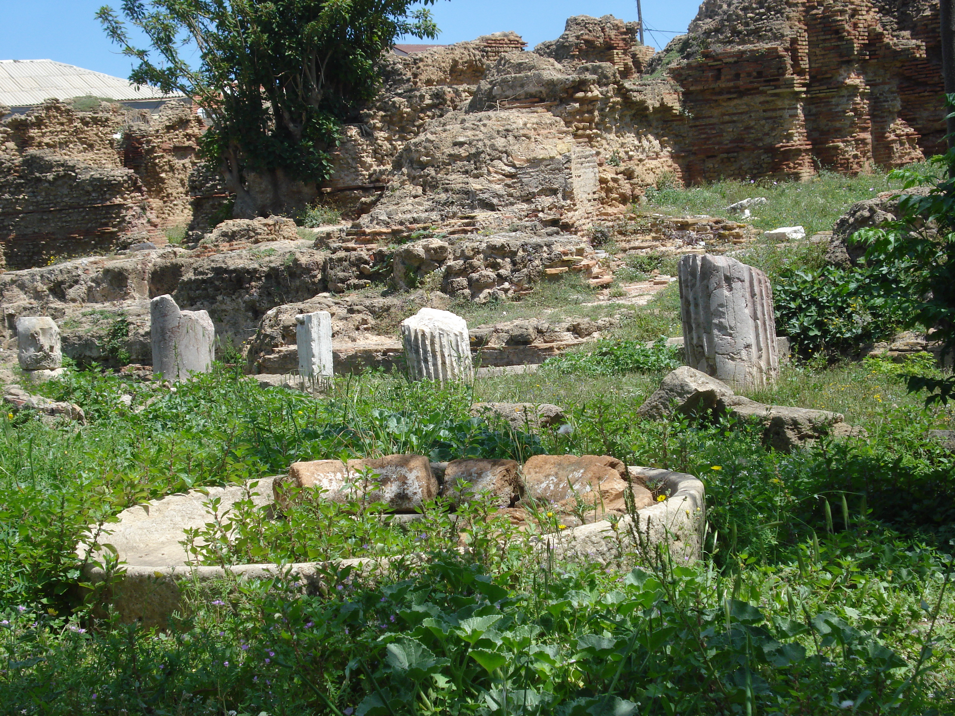 Musée de plein air ,Cherchell
