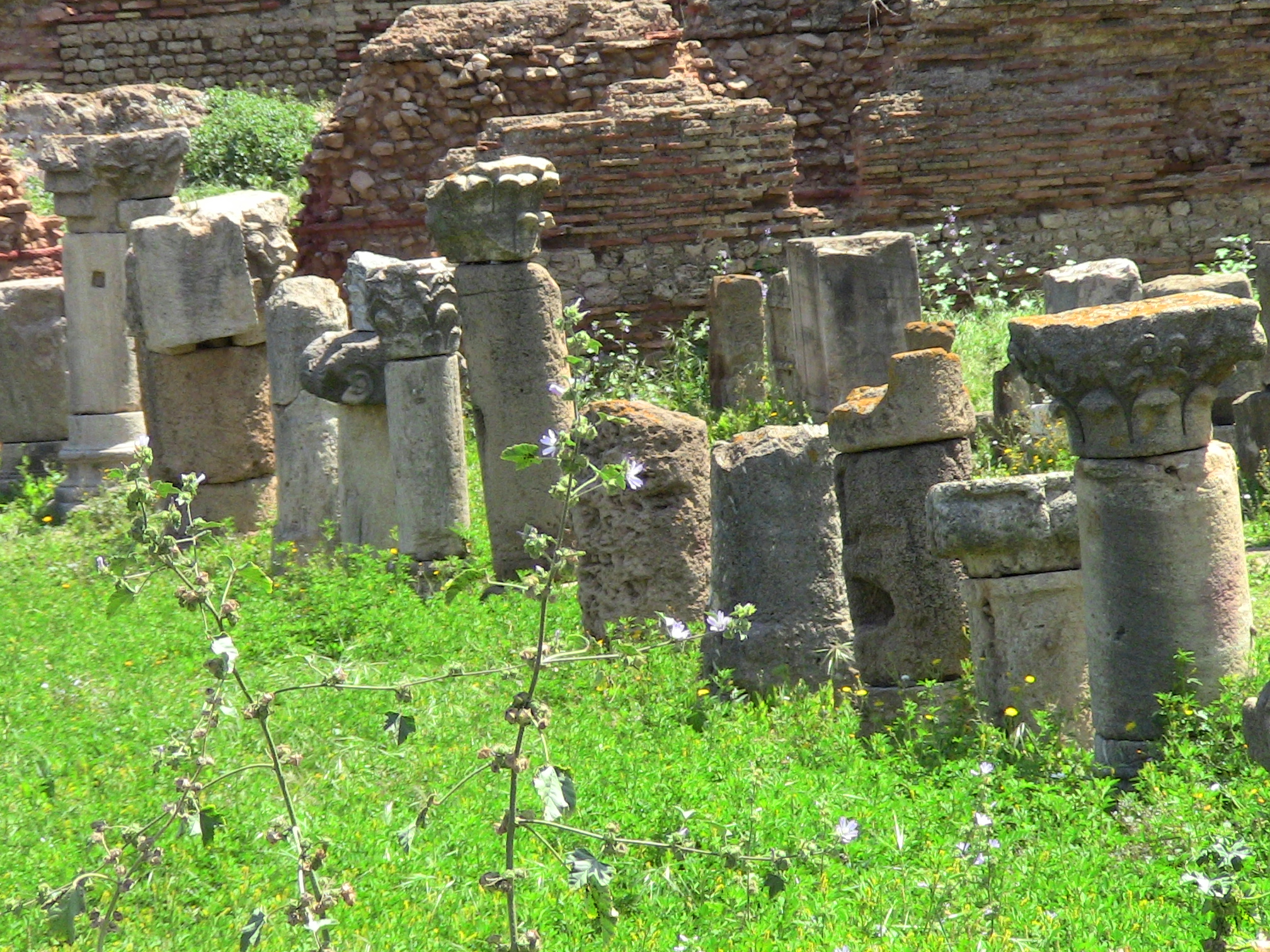 Musée de plein air ,Cherchell