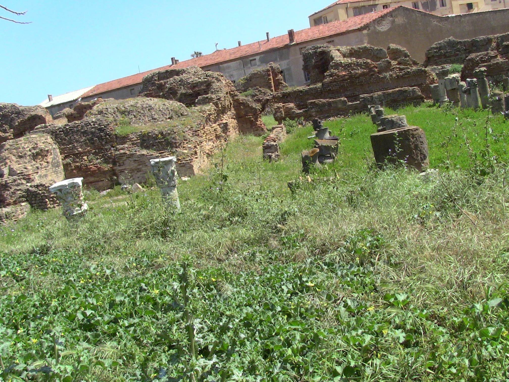 Musée de plein air ,Cherchell