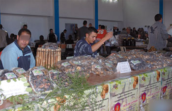11e édition de la fête de la figue de Beni Maouche: Un symbole de la région
