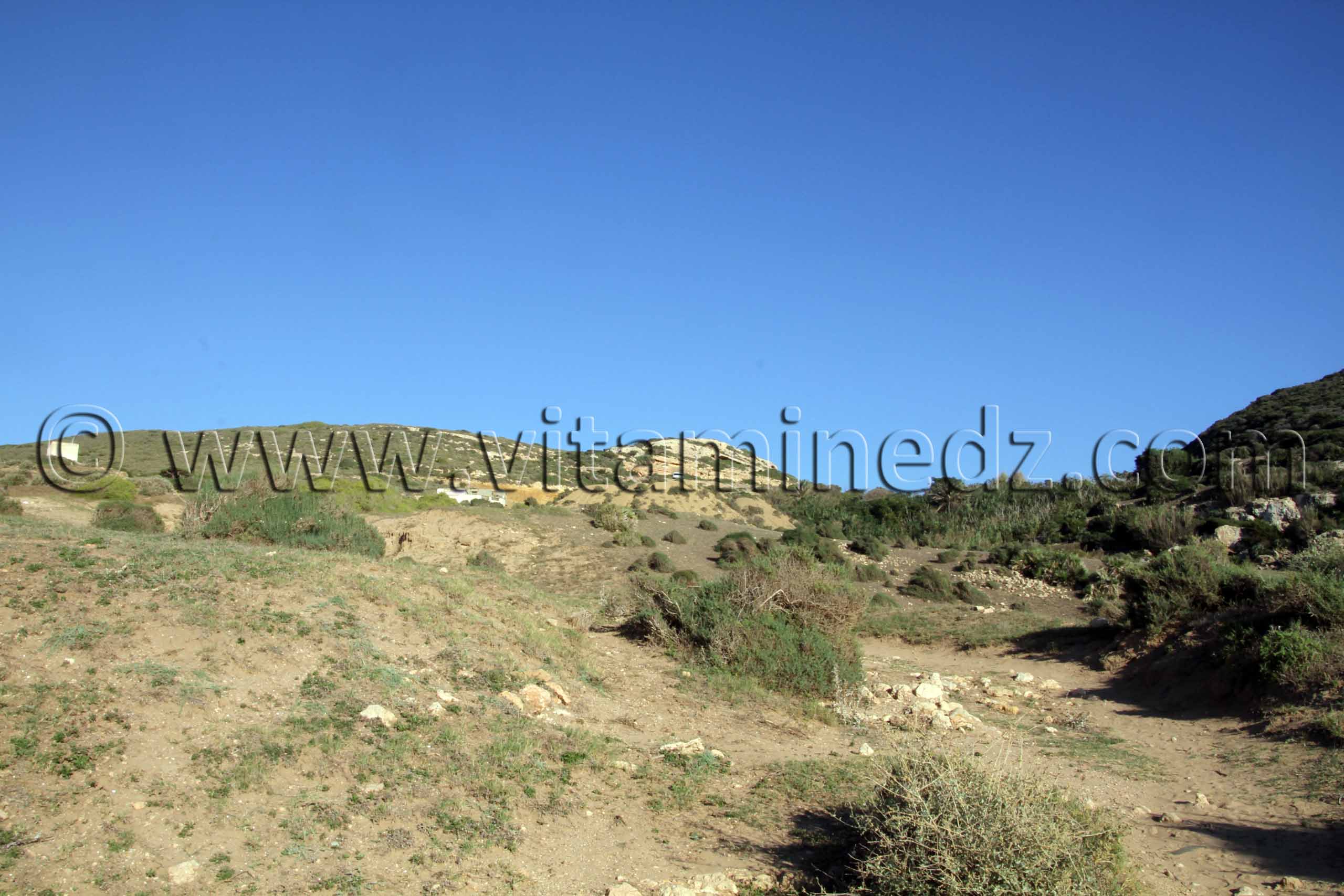 Montagne de Sidi Ali près de Beni Saf, commune de Sidi Safi, Wilaya Ain Temouchent
