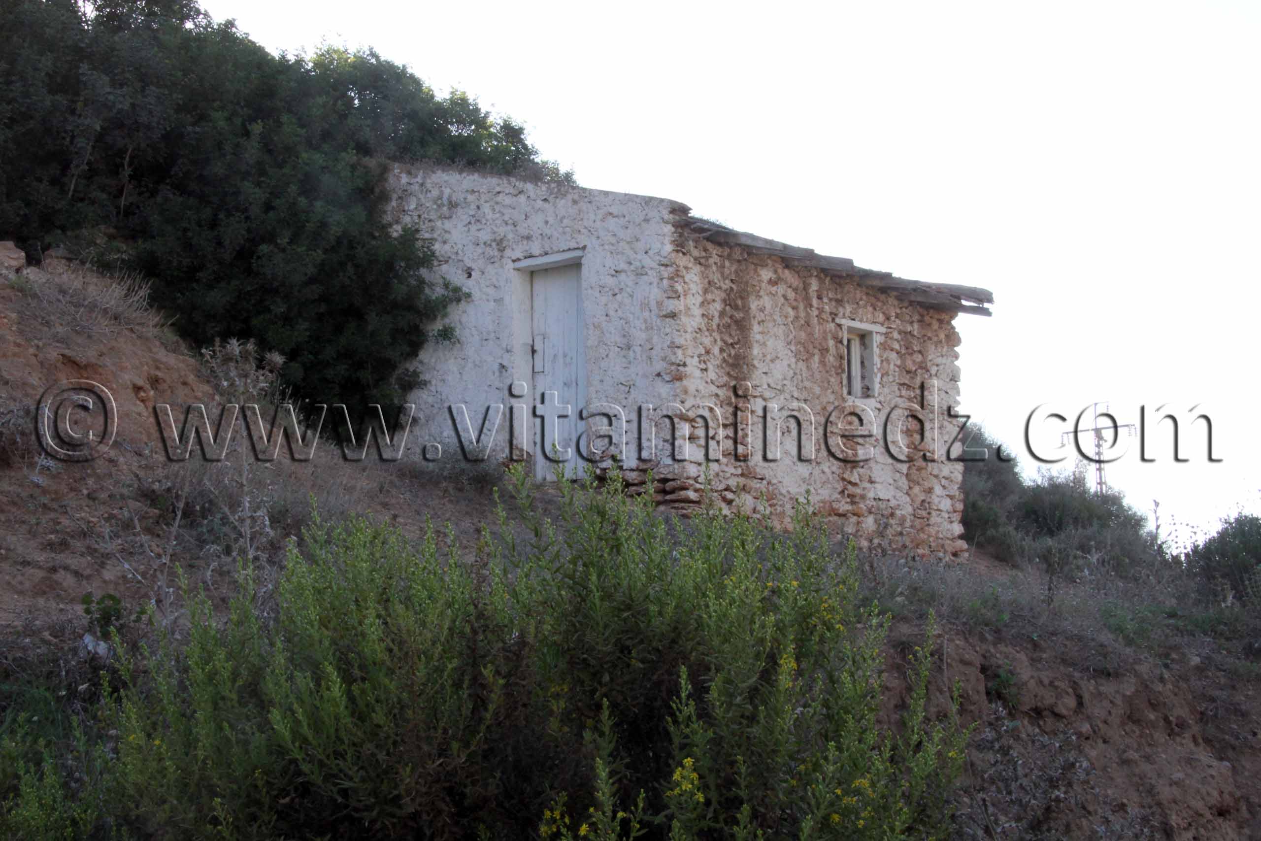 Cabane de pêcheur - Plage de Sidi Ali près de Beni Saf, commune de Sidi Safi, Wilaya Ain Temouchent