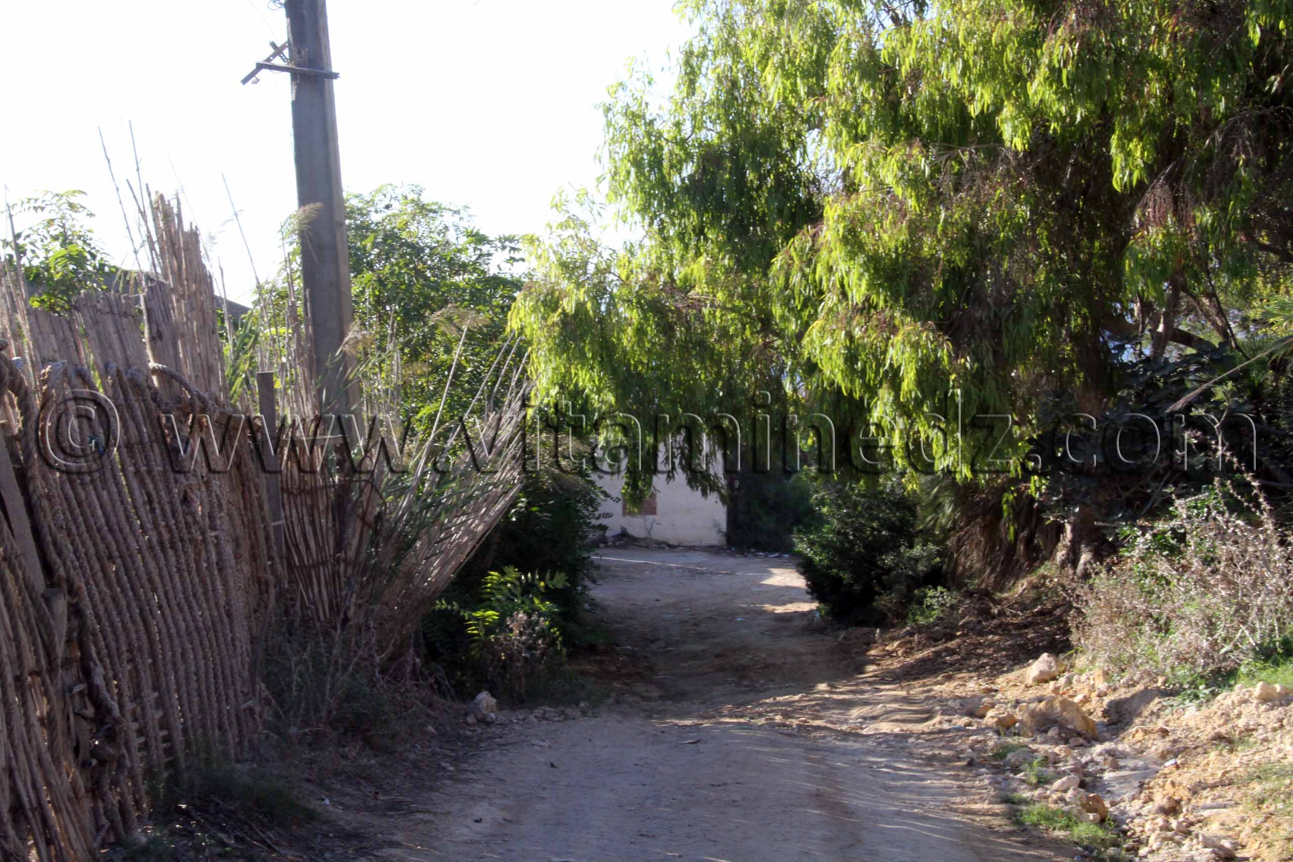 Route vers Plage de Sidi Ali près de Beni Saf, commune de Sidi Safi, Wilaya Ain Temouchent