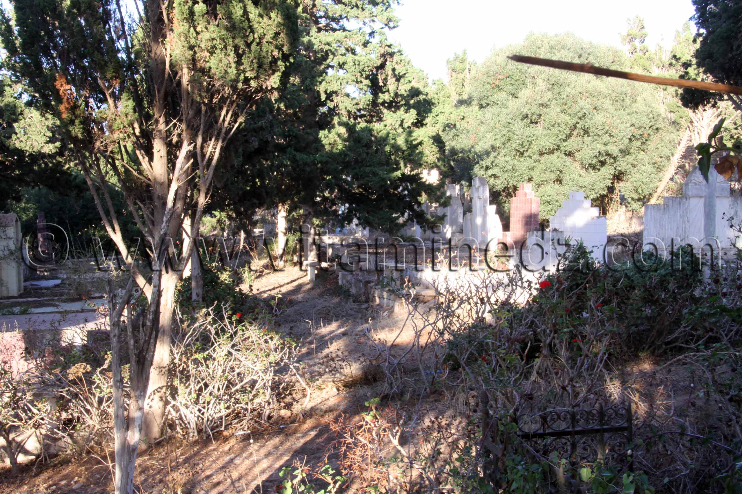 Cimetière chrétien de Beni Saf (W. Aïn Temouchent)