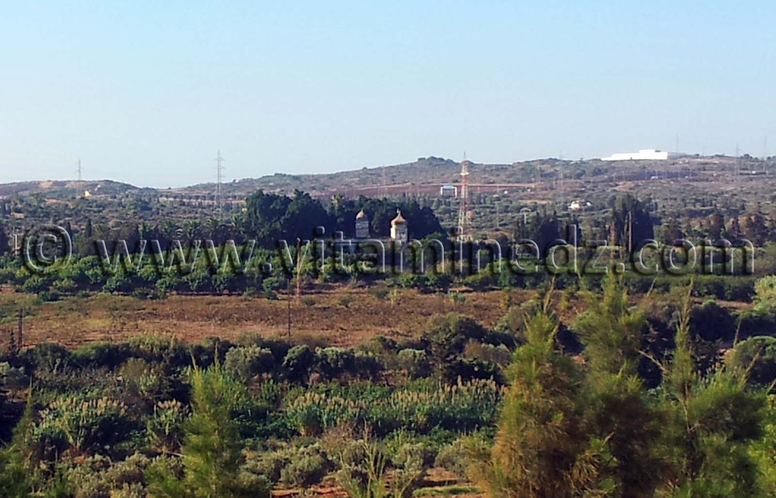 Domaine agricole à l'entrée d'Oran