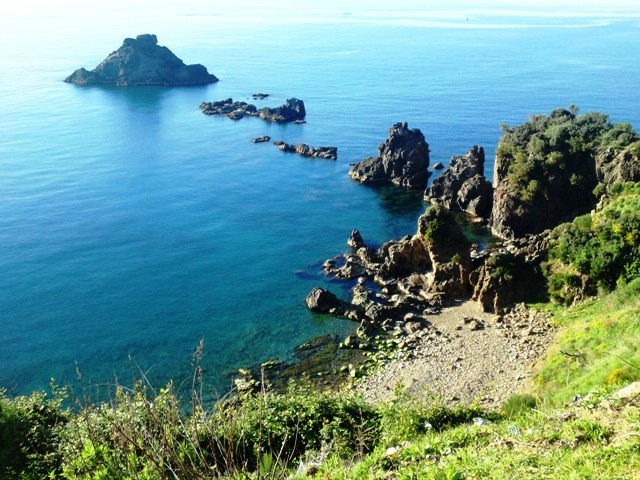 عروس الشواطئ