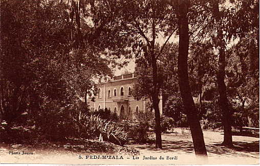 FEDJ MZALA  JARDIN  BORDJ ADMINISTRATIF
