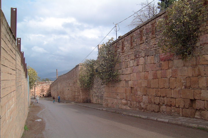 MILA MURAILLE ROMAINE