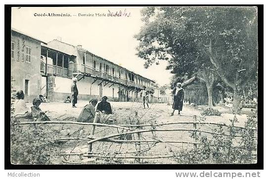 OUED ATMENIA DOMAINE DU COLONES