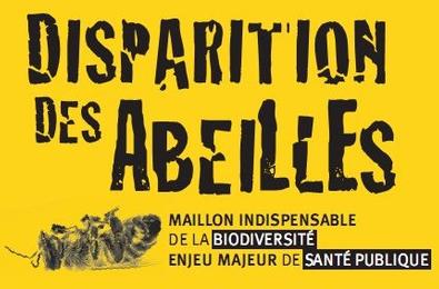 TLEMCEN - Les abeilles d'Aïn-Fezza ne butinent plus