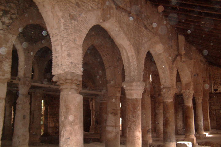 vieux MILA patrimoine en danger