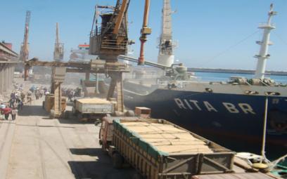 Algérie - IMPORTATIONS DE CÉRÉALES: Le blé tendre continue d’alourdir la facture alimentaire