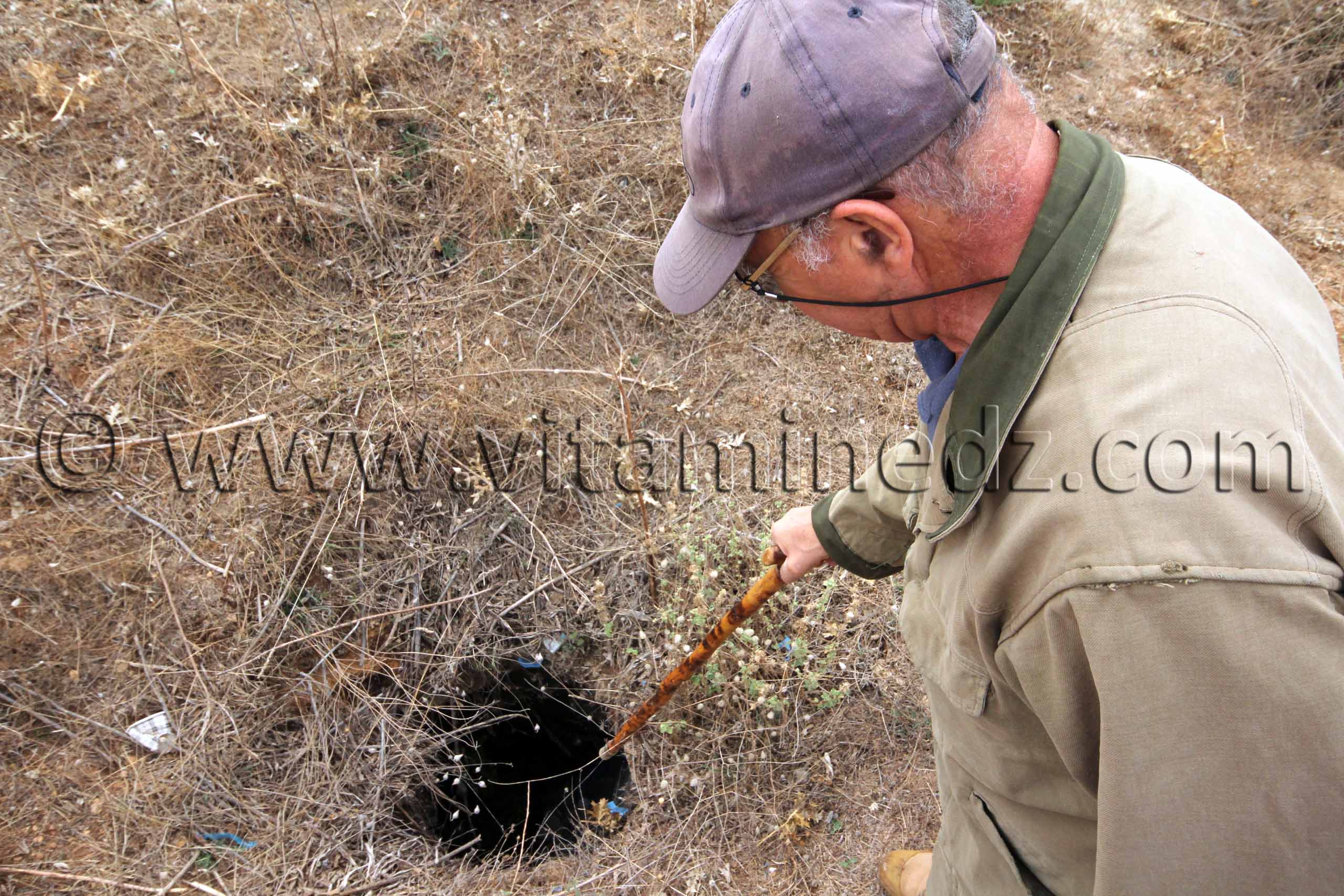 Tlemcen, El Mefrouche  Site pré-historique inexploré, trous creusés ou naturels servant de réservoirs de grains.