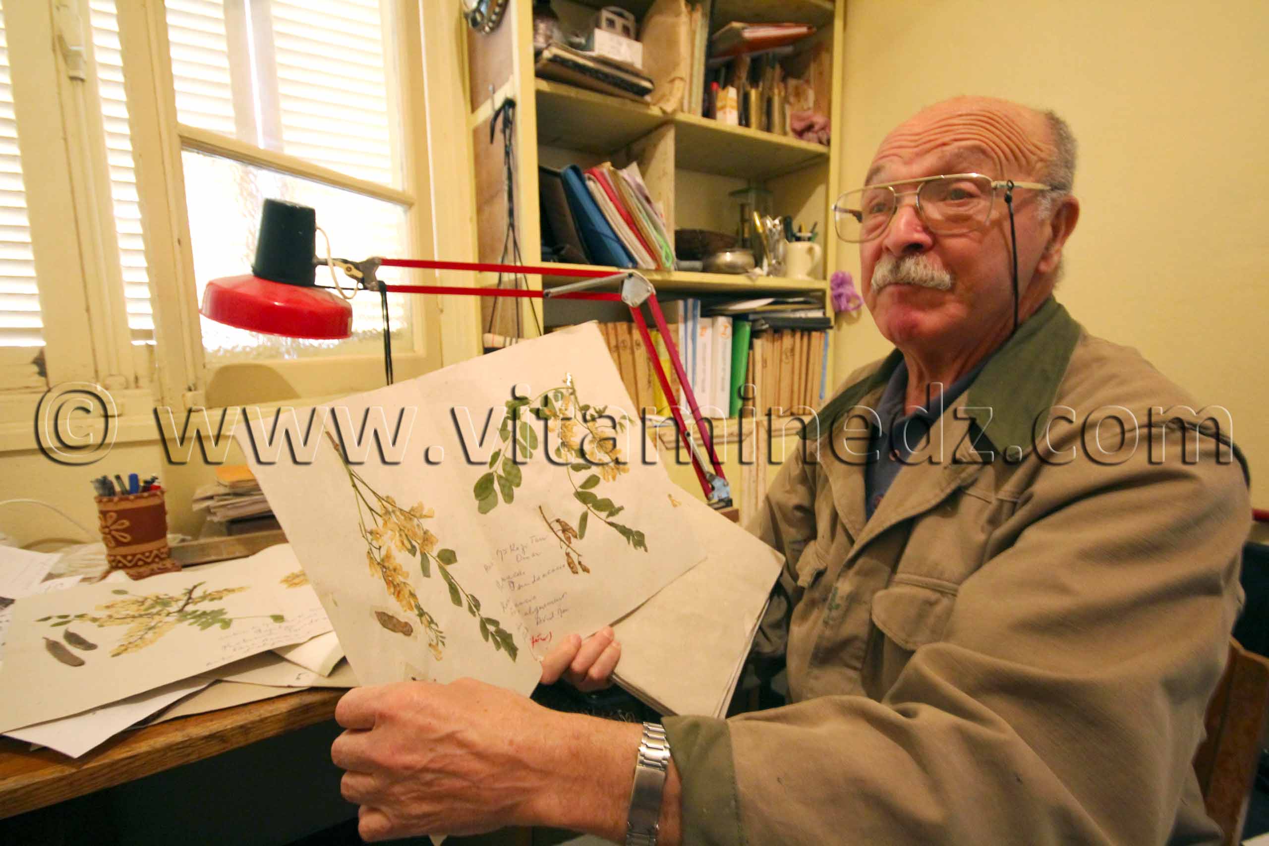 Des centaines de planches d'herbier de Monsieur Kazi Tani Omar, Ancien professeur de Sciences naturelles à Tlemcen et spécialiste en géologie et botanique