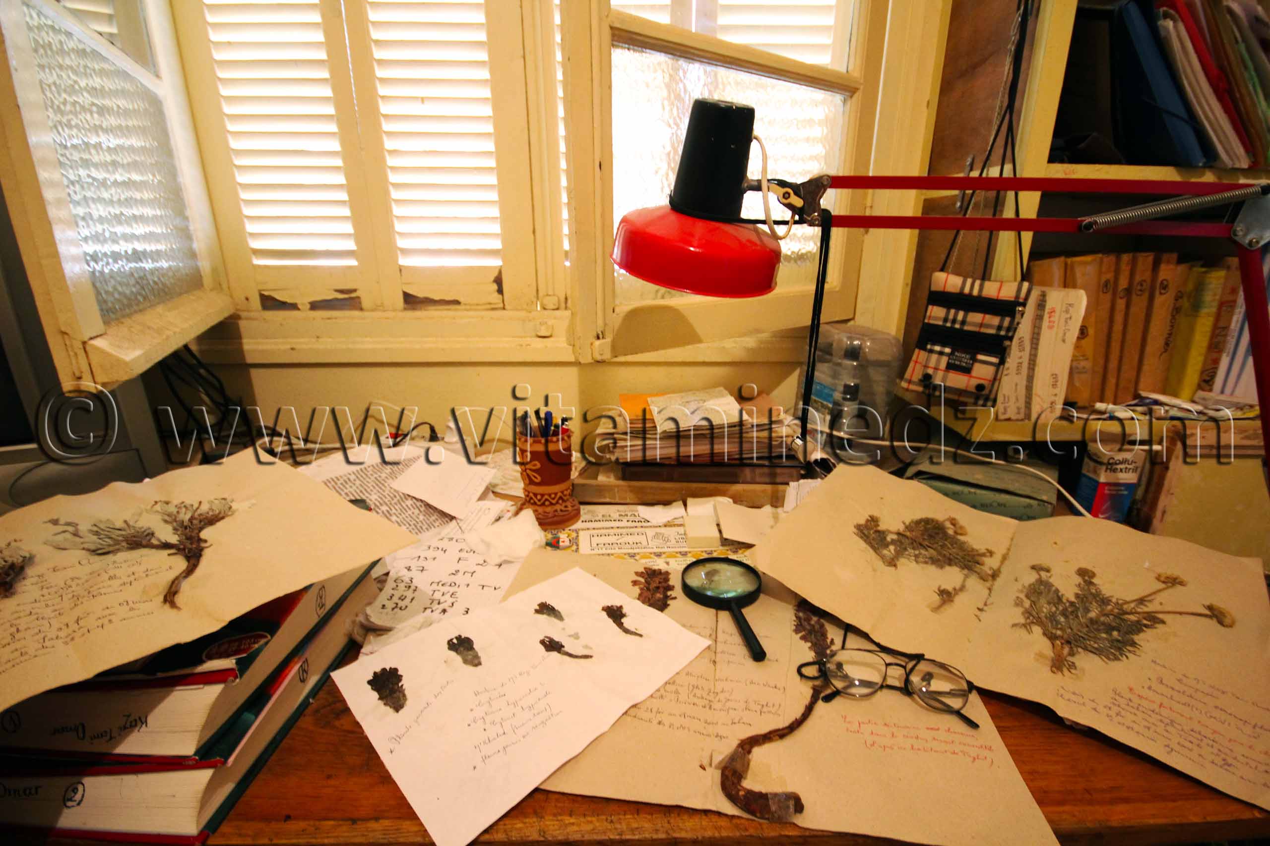 Bureau de Monsieur Kazi Tani Omar, Ancien professeur de Sciences naturelles à Tlemcen et spécialiste en géologie et botanique