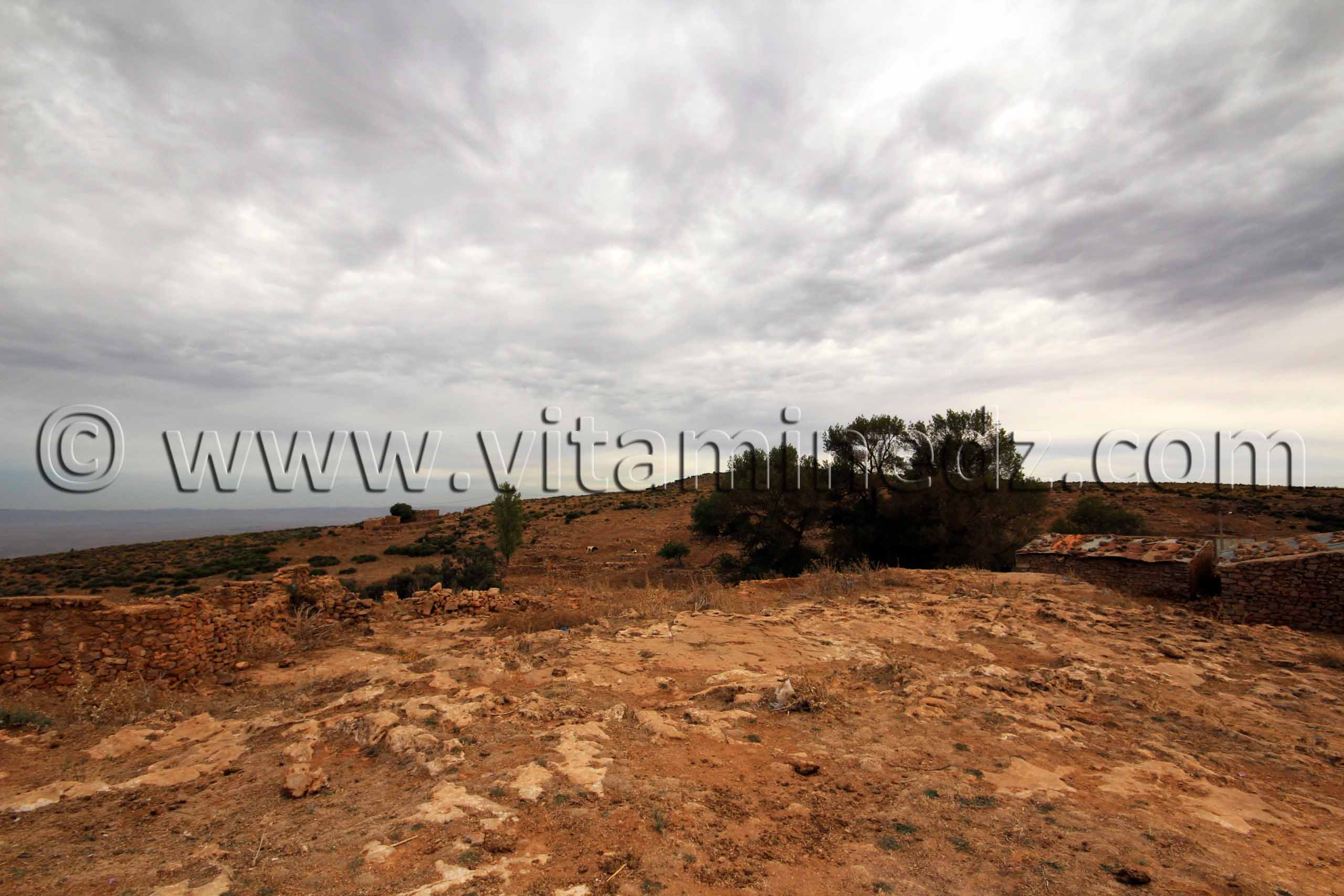 Esstah  Près d'El Mefrouche ...