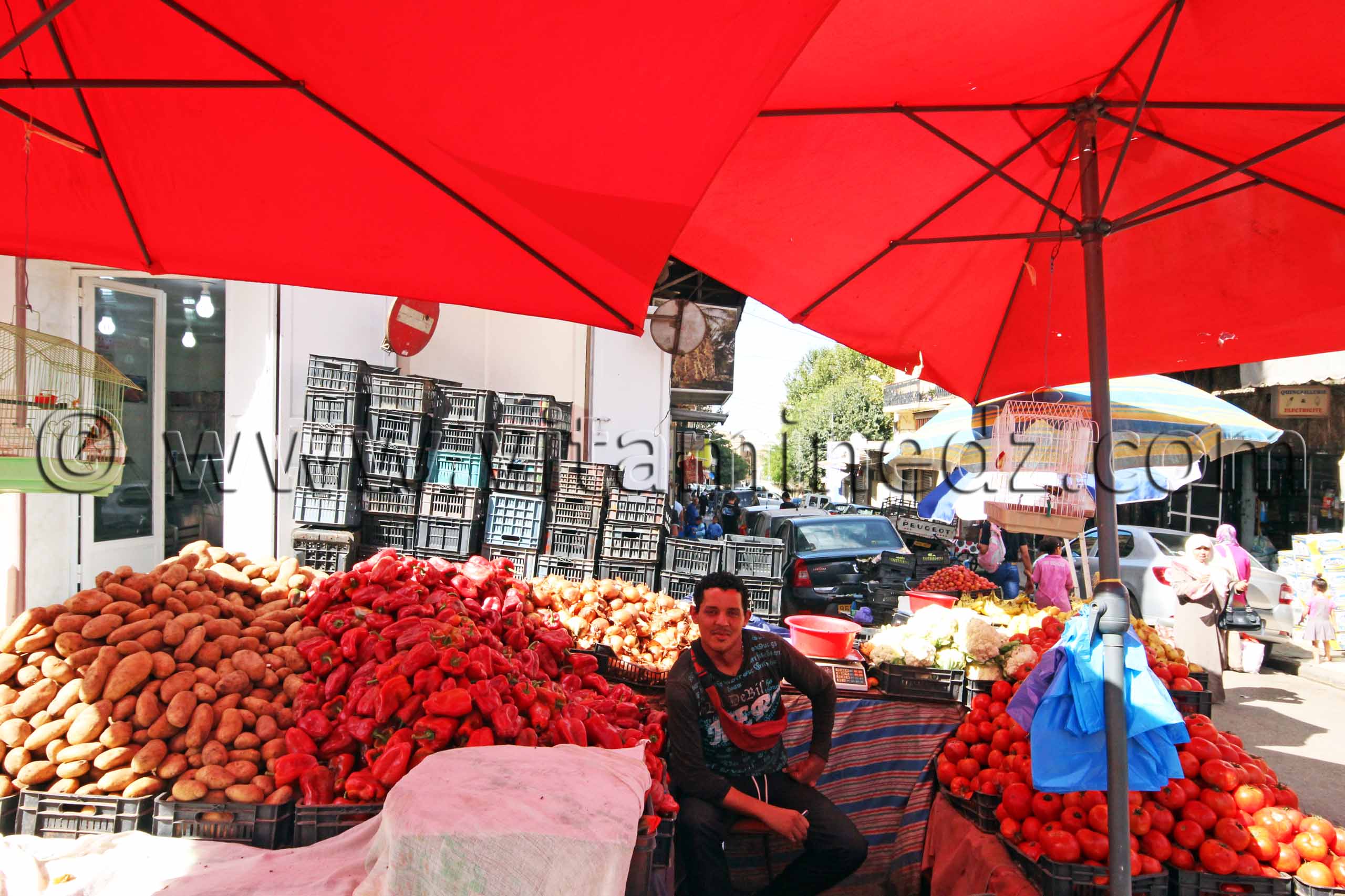 Le souk de Tlemcen ... ça va et ça revient