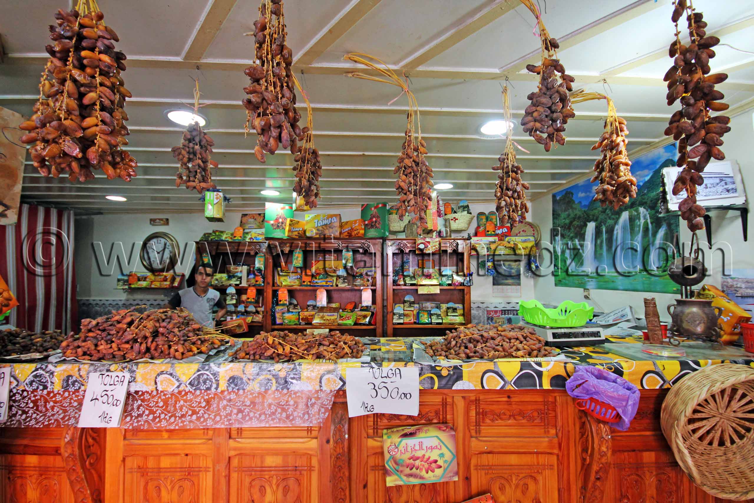 Maison de Dattes  Tolga, Deglet Nour, premier choix, Vente de Dattes en gros et au détail à Tlemcen