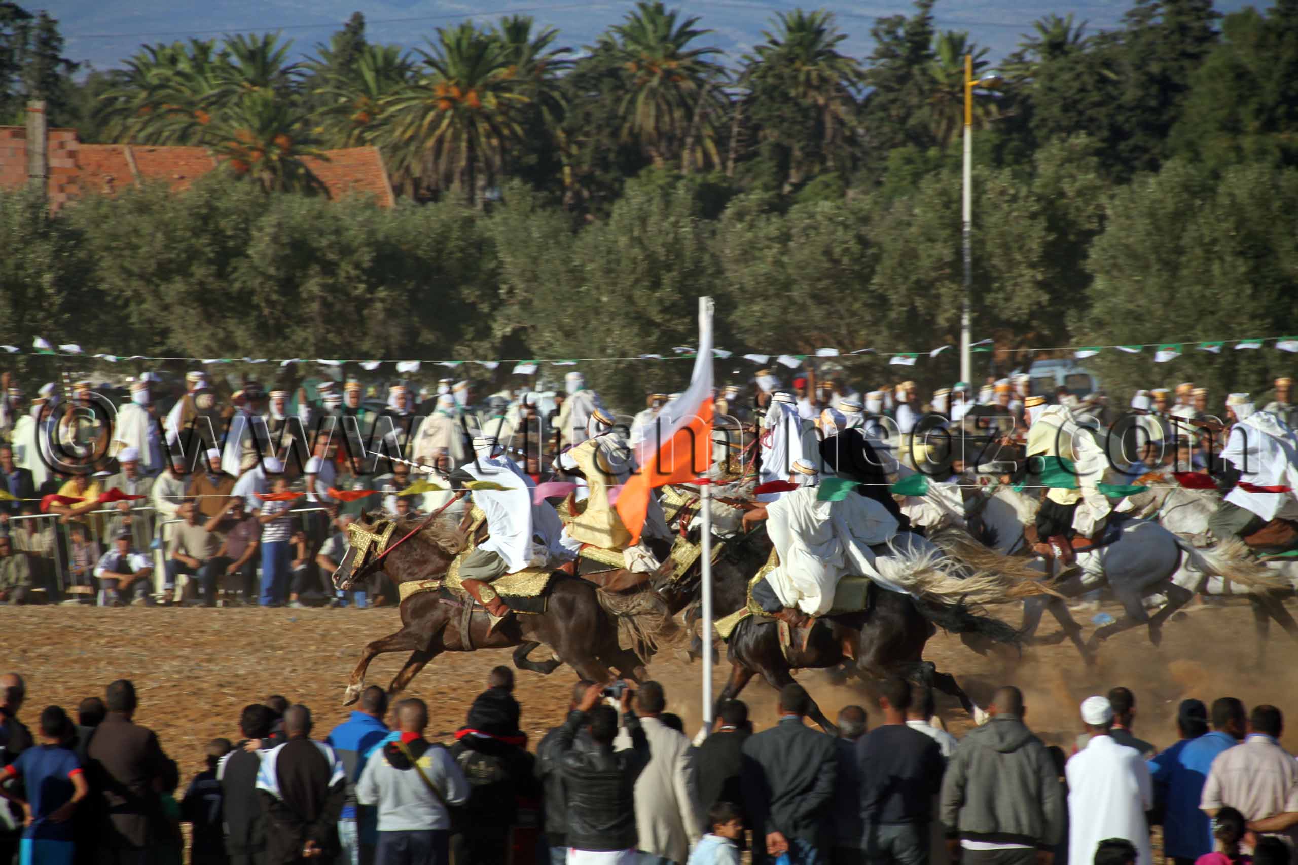 Magnifique Fatasia Waadat Ain Larbaa, wilaya d'Ain Temouchent