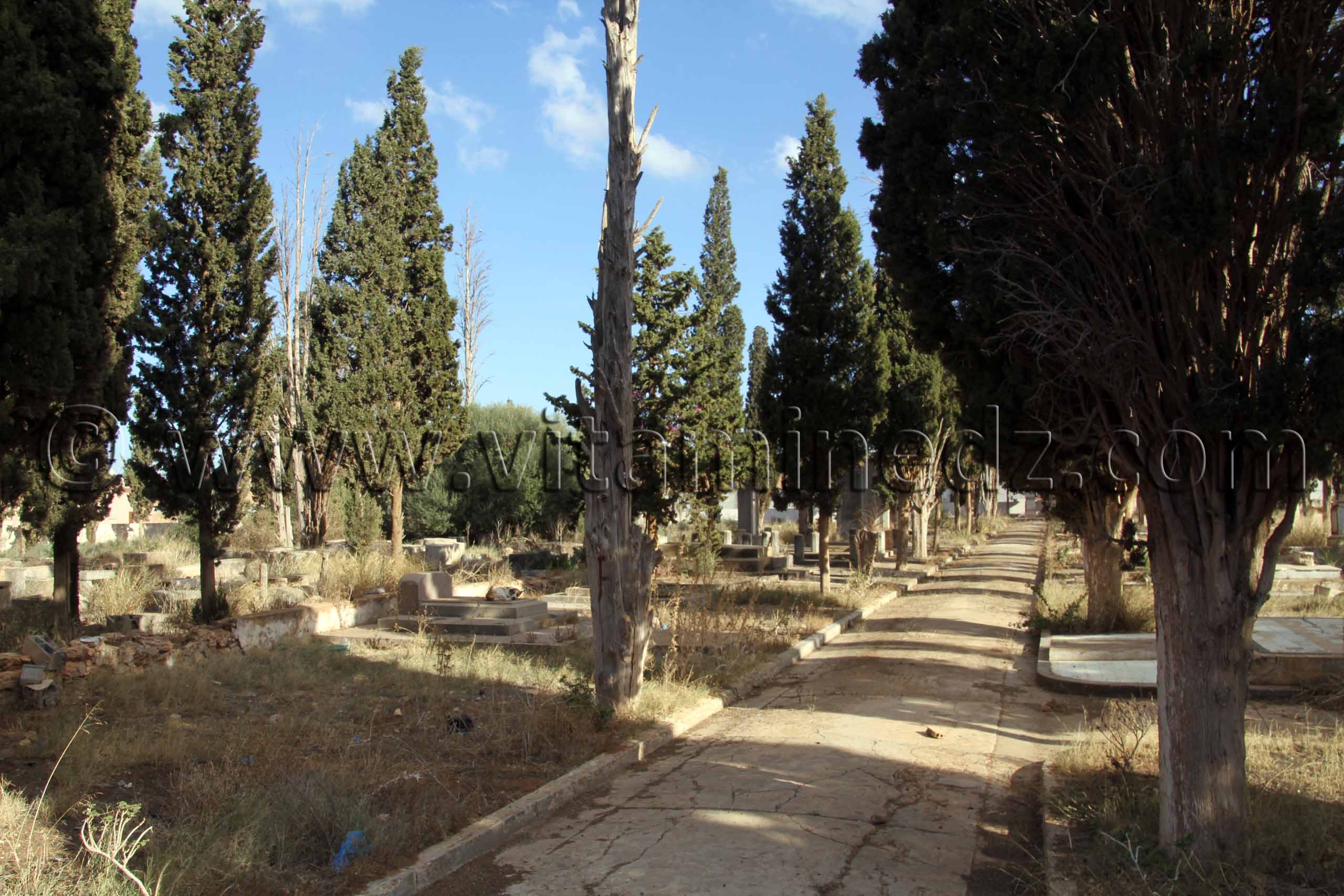Cimetière chrétien à l'abandon à Ain El Arba, wilaya d'Ain Temouchent