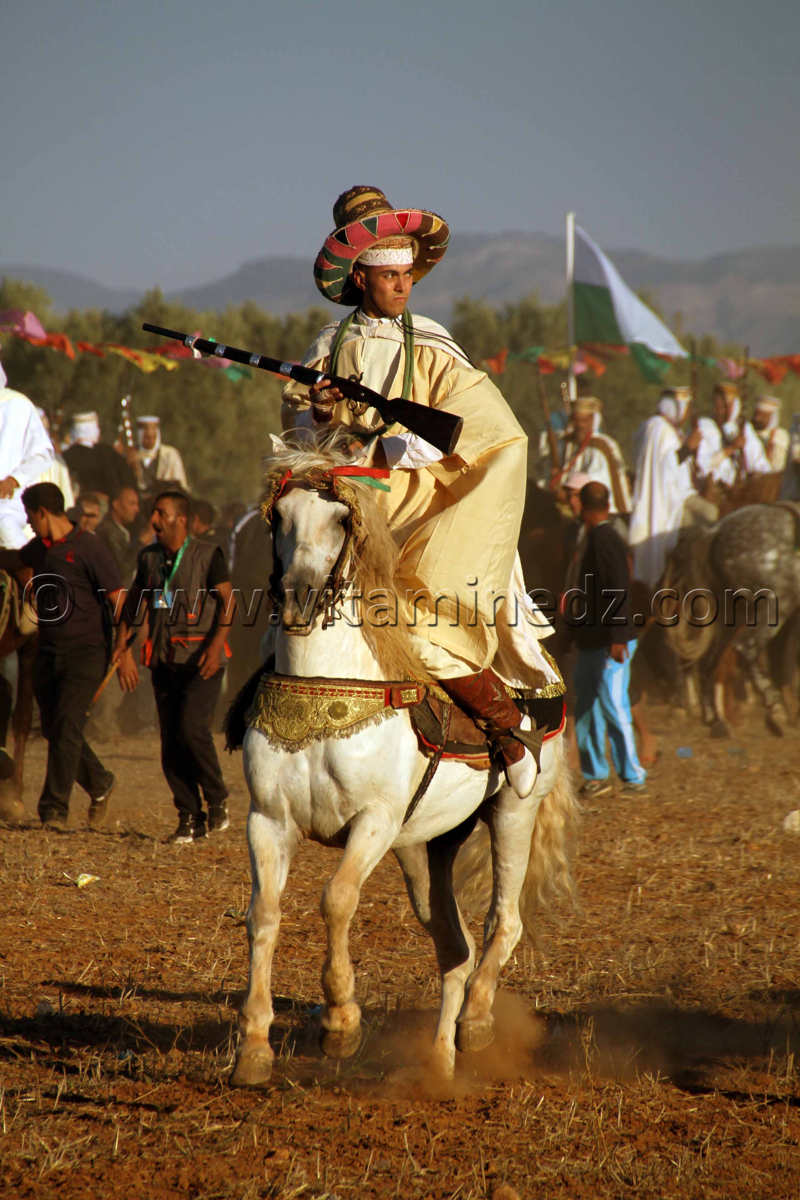 Beau Cavalier, Waadat Ain Larbaa, wilaya d'Ain Temouchent