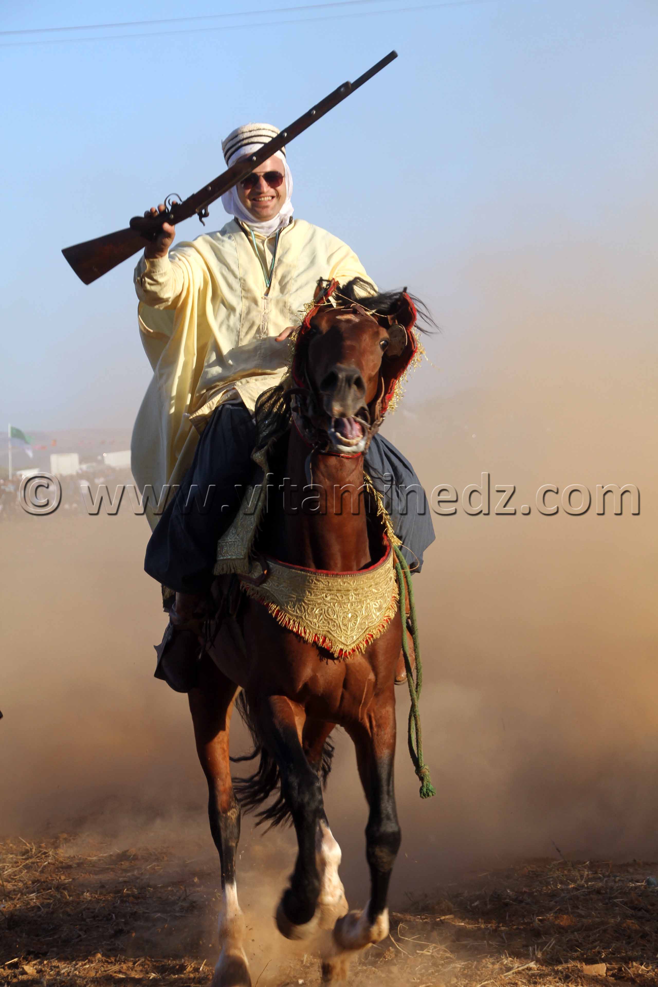 Beau cavalier, Waadat Ain Larbaa, wilaya d'Ain Temouchent