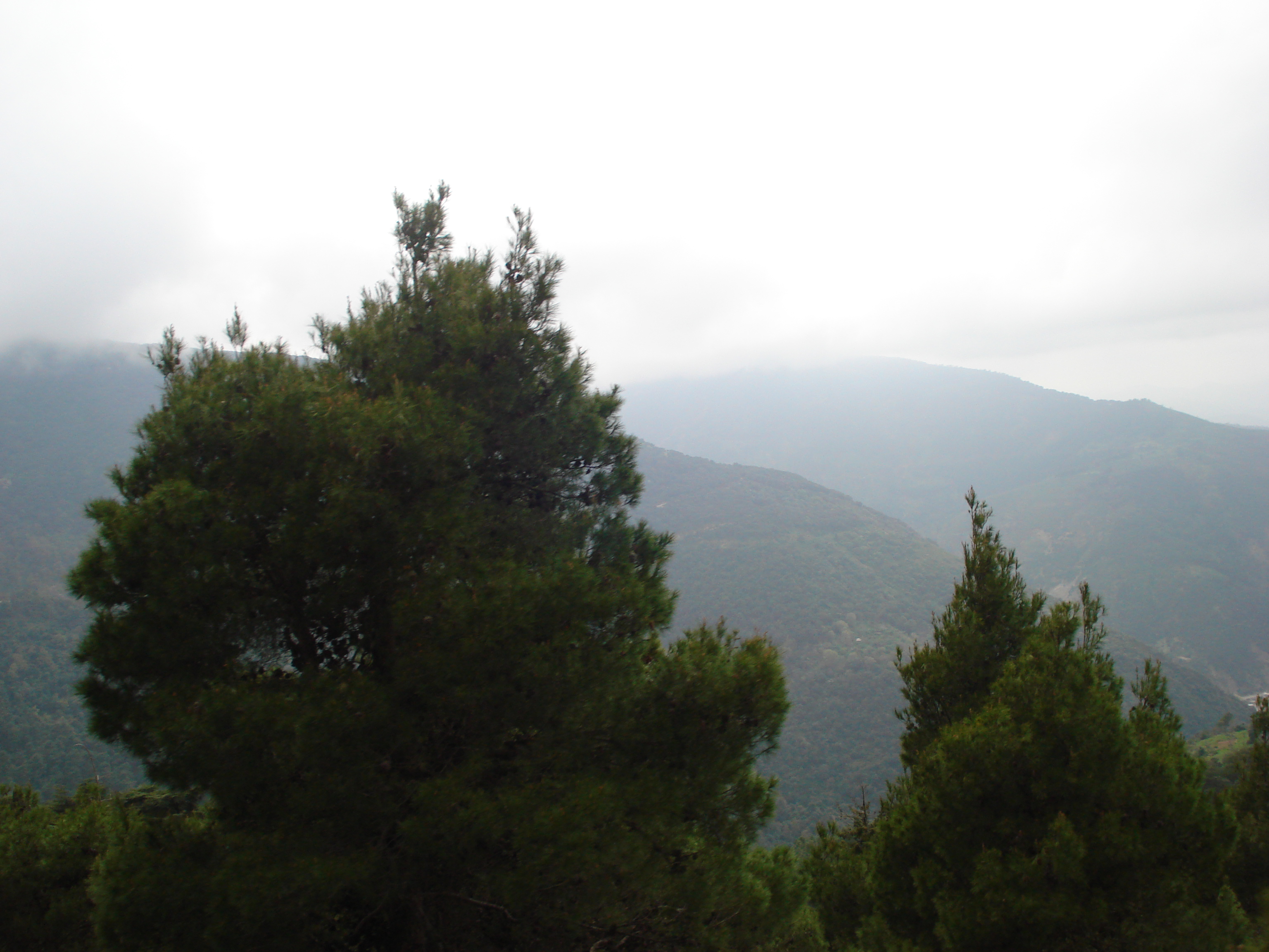 Le site de Chréa Blida