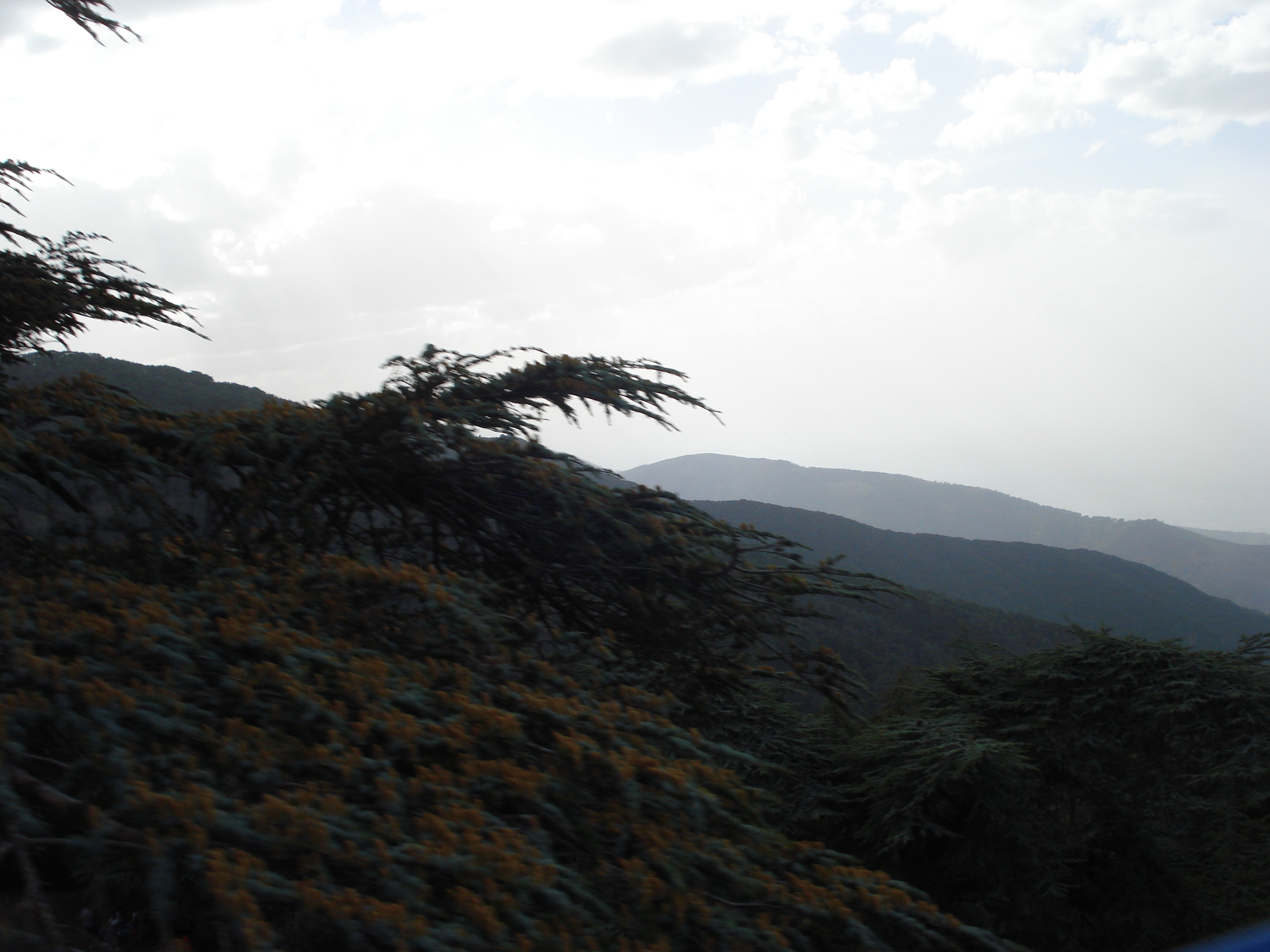 Le site de Chréa Blida