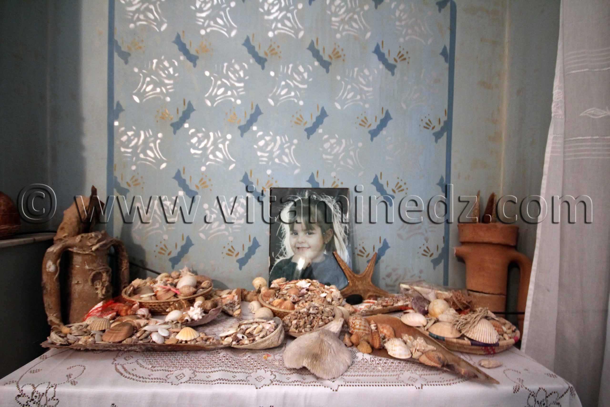 Collection de coquillages et corails de Dr. Yadi (Tlemcen)