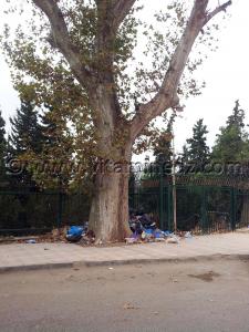 Les décharges sauvages mitoyen de la wilaya de Tlemcen ... Le maire fait quoi? Photos de Tlemcen 2013