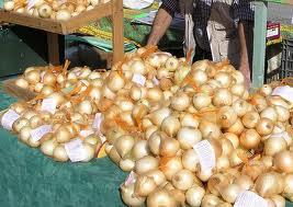 Mascara -  Un million de quintaux d’oignons menacés d’avarie