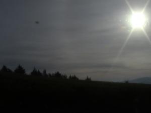 les gorges de la Chiffa