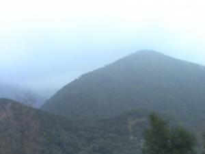 Les gorges de la Chiffa