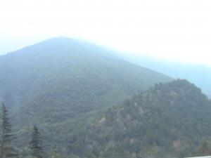 Les gorges de la Chiffa