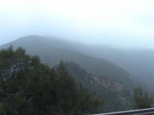 Les gorges de la Chiffa