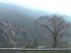 Les gorges de la Chiffa