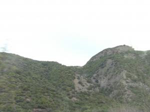 Les gorges de la Chiffa