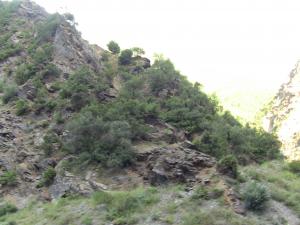 Les gorges de la Chiffa