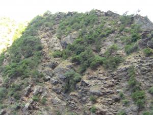 Les gorges de la Chiffa