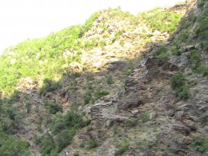 Les gorges de la Chiffa