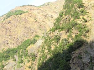 Les gorges de la Chiffa