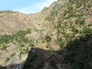 Les gorges de la Chiffa