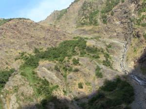 Les gorges de la Chiffa