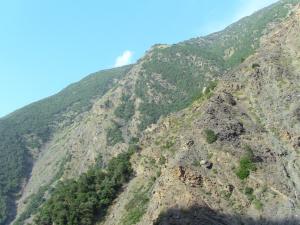 Les gorges de la Chiffa