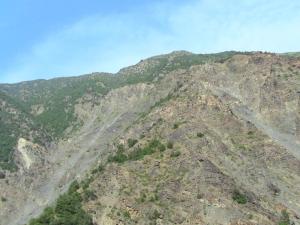 Les gorges de la Chiffa